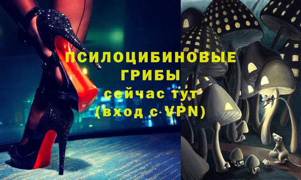 ALPHA PVP Ельня