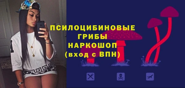прущие крисы Елизово