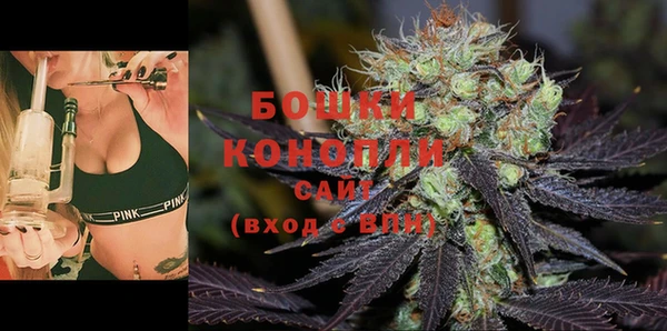 мдпв Заводоуковск