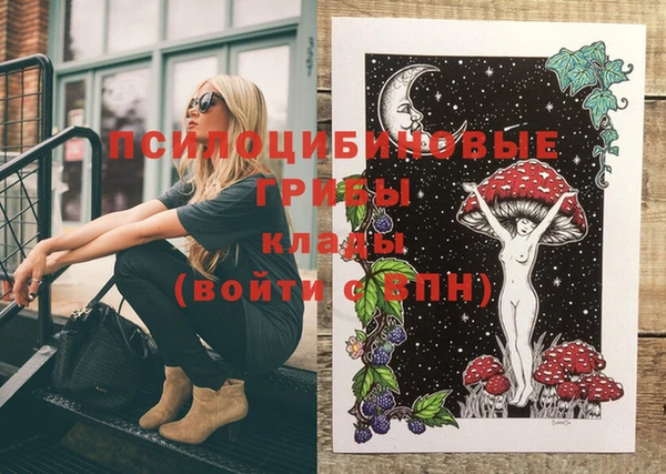 прущие крисы Елизово