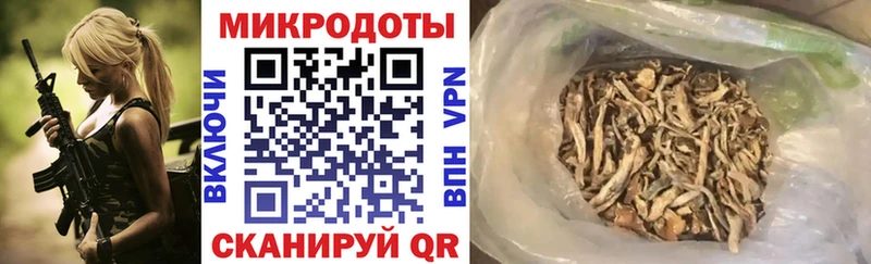 Псилоцибиновые грибы Cubensis  Купить где  Дно 