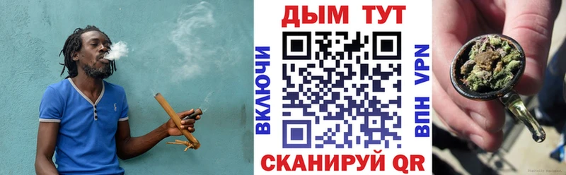 Купить  Дно  Бошки Шишки ГИДРОПОН 